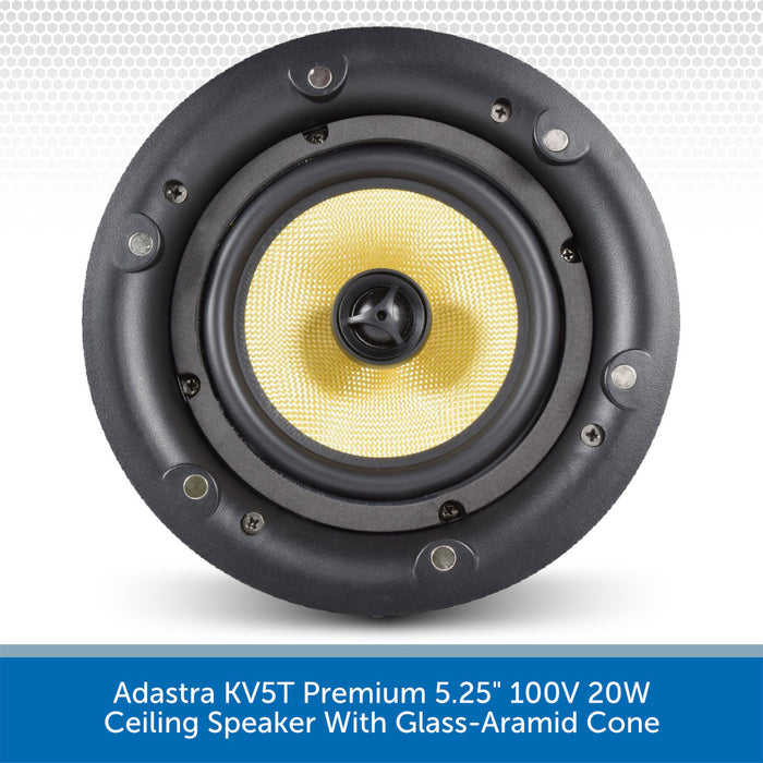 Adastra KV5T Speaker Inside Cone