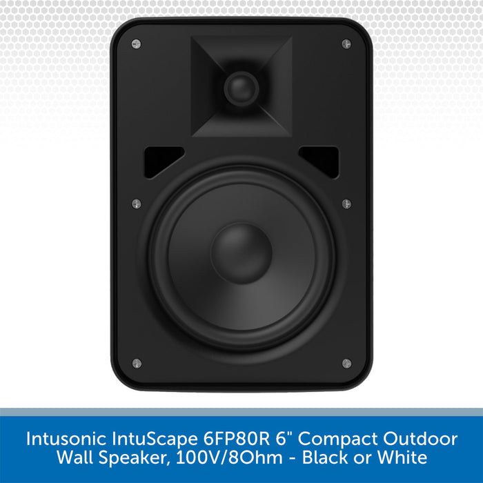 Intusonic IntuScape 6FP80R Speaker Front