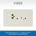 Cloud Electronics LE-1 - RCA & 3.5mm Input Plate for DCM1/DCM1e