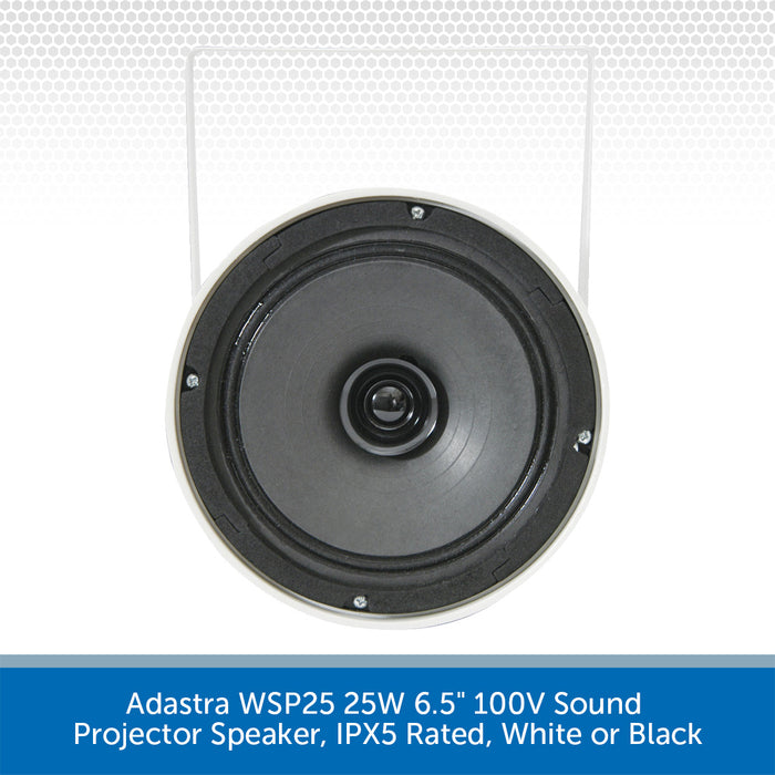 Adastra WSP25 25W 6.5" 100V Sound Projector Speaker, IPX5 Rated, White or Black