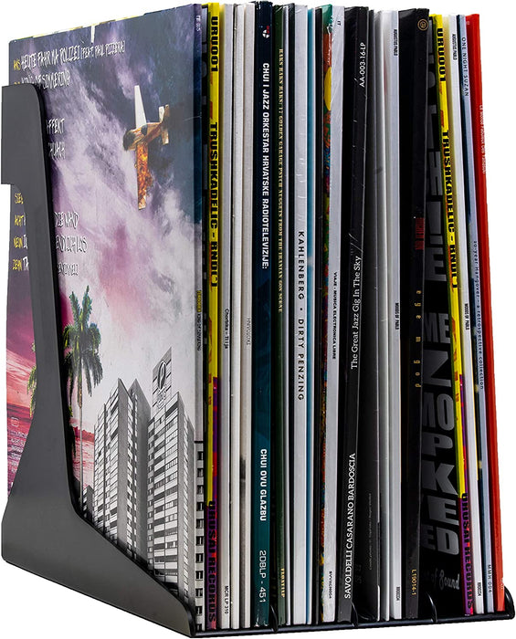 Audio Anatomy 12" Vinyl Record Stand, Holds 40 Records - Black or White