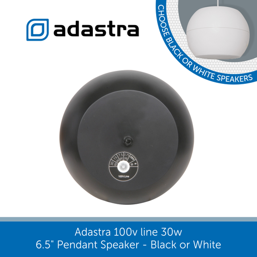 showing the back of a Adastra Pendant Speaker 6.5" 30w 