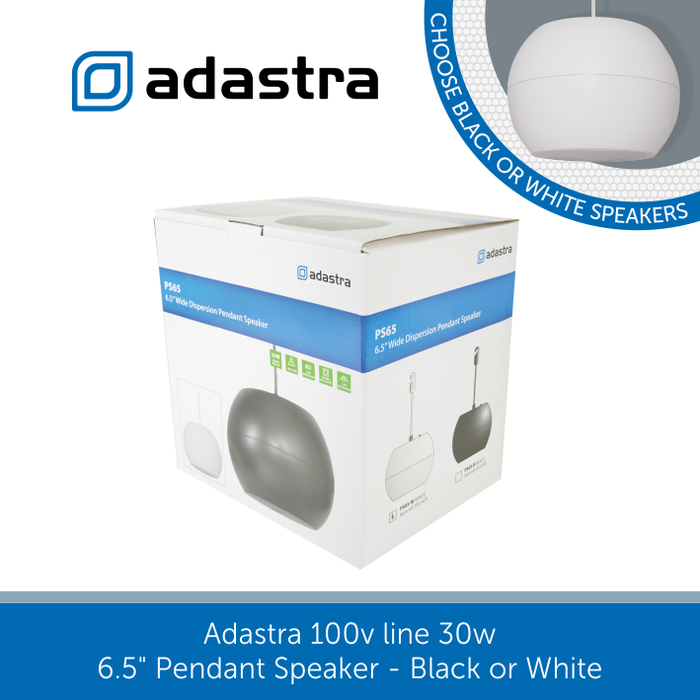 Showing a box for a Adastra Pendant Speaker 6.5" 30w