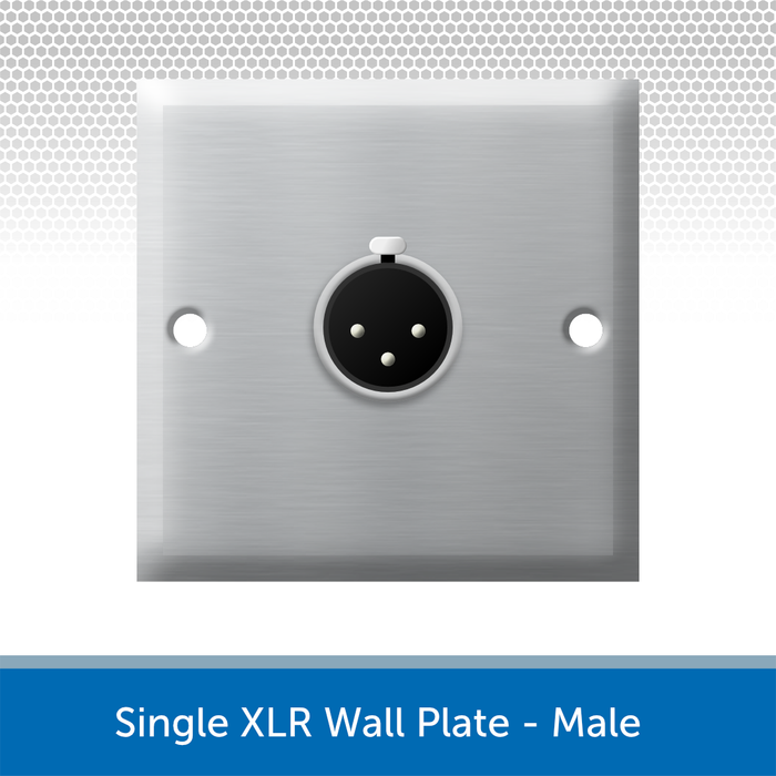 Single XLR Wall Plate, 1 Gang, Brushed Steel - Male