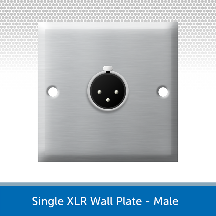 Saga Elite Single-Gang Wall Plate With Female XLR Connector - Stainless Steel, For Microphones & Audio